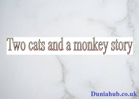 two cats and a monkey story in english written