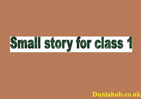 Small story for class 1